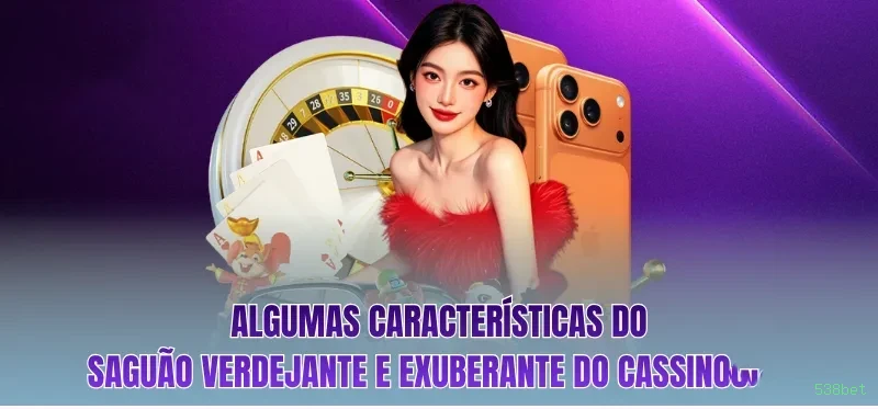 Programa VIP 538bet - benefícios exclusivos
